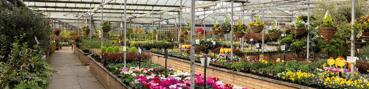 Spring Green Nc About Us – Spring Green Nurseries